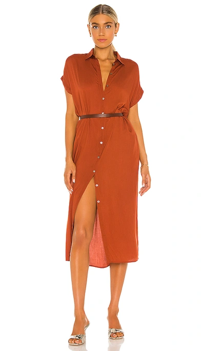 Shop Indah Delphina Shirt Dress In Copper