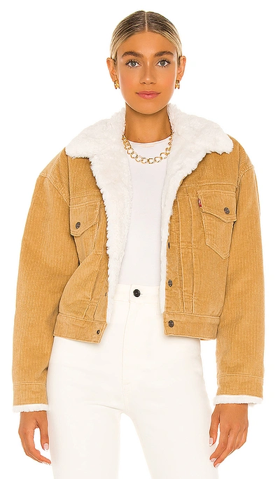 Shop Levi's New Heritage Cord Faux Fur Trucker Jacket In Iced Coffee Warm 10