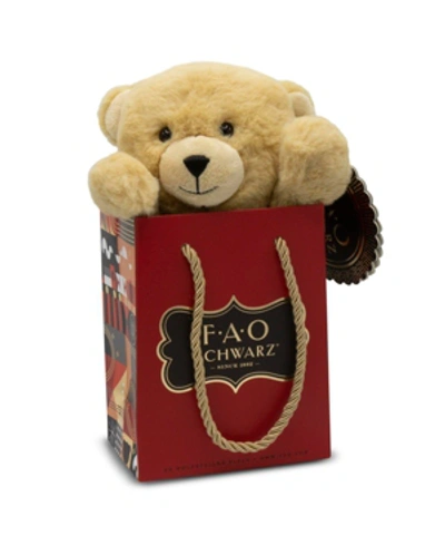 Shop Fao Schwarz Toy Plush Bear In A Bag 7inch