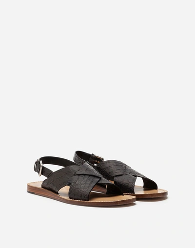 Shop Dolce & Gabbana Hand-polished Crocodile Flank Leather Sandals In Black