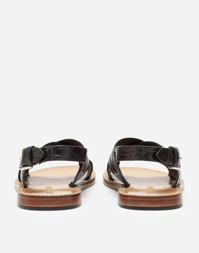 Shop Dolce & Gabbana Hand-polished Crocodile Flank Leather Sandals In Black