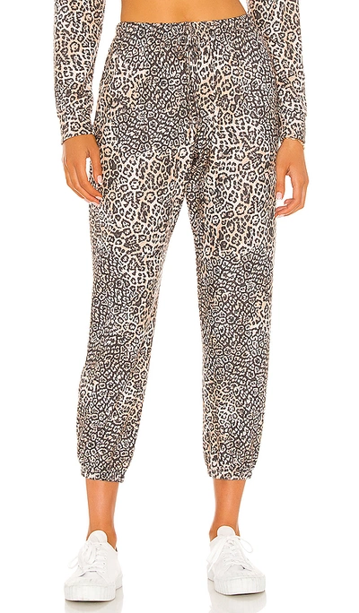 Shop Onzie Weekend Sweatpant In Pounce