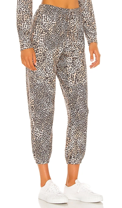 Shop Onzie Weekend Sweatpant In Pounce