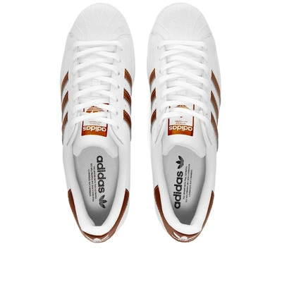 Shop Adidas Womens Adidas Superstar W In White