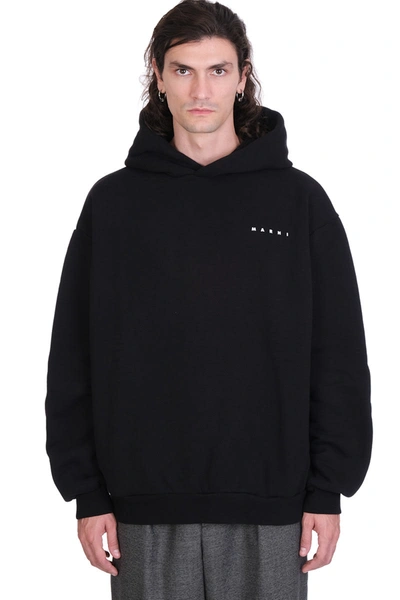 Shop Marni Sweatshirt In Black Cotton