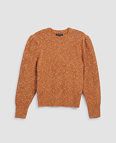 Shop Ann Taylor Shimmer Sweater In Classic Acorn