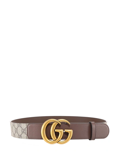 Shop Gucci Belt In Brown