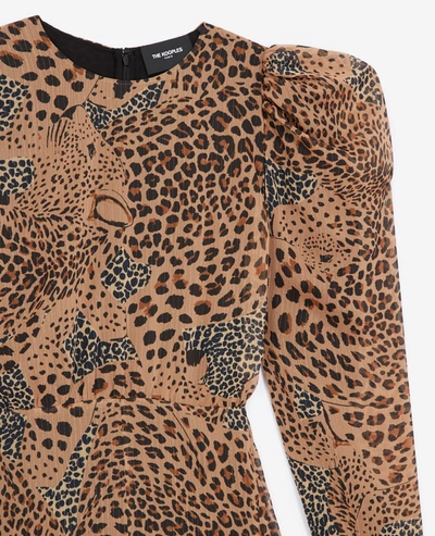 Shop The Kooples Short Brown Dress With Animal Print In Brw