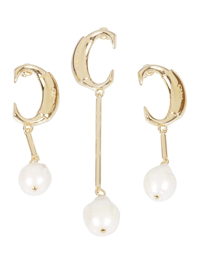 Shop Chloé Darcey Earrings In Pearl