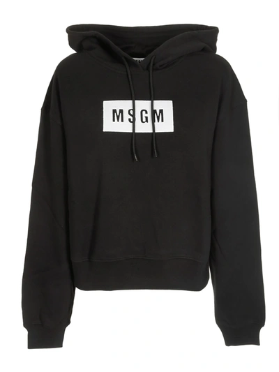 Shop Msgm Box Logo Hoodie In Black