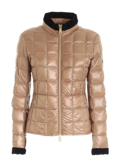 Shop Fay Light Puffer Jacked With Velvet Piping In Camel