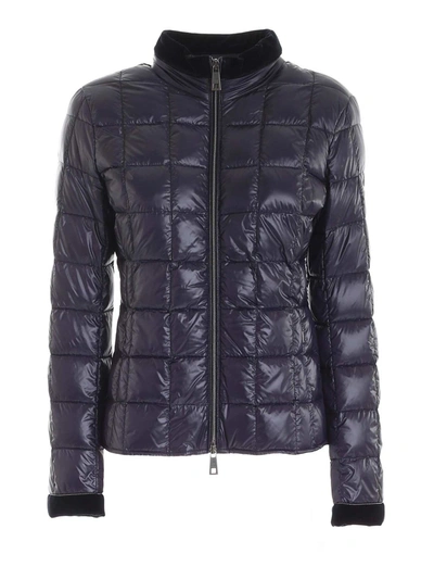 Shop Fay Light Puffer Jacked With Velvet Piping In Blue