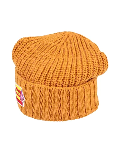 Shop Marni Hats In Ocher