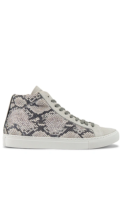 Shop P448 Star High Top Sneaker In Silver Python