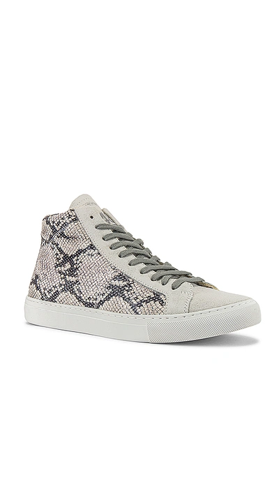 Shop P448 Star High Top Sneaker In Silver Python
