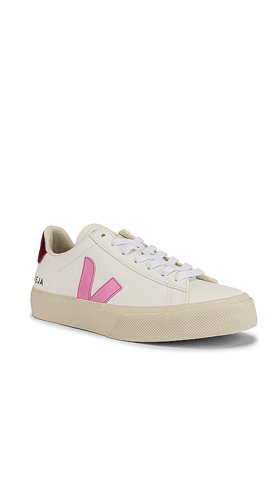 Shop Veja Campo Sneaker In Extra White, Guimauve & Marsala