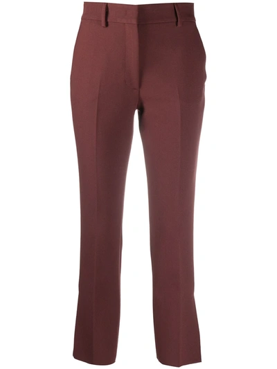 Shop Msgm Tailored Cropped Trousers In Brown