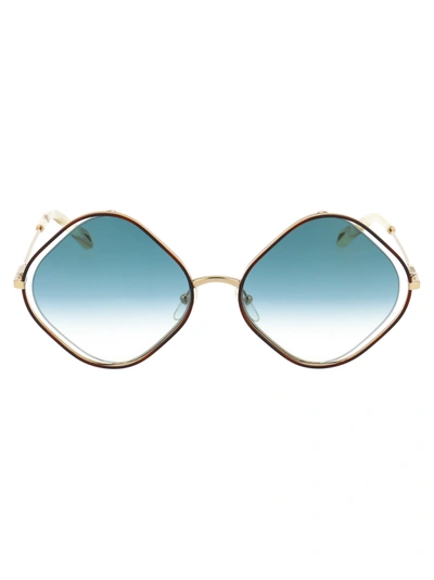 Shop Chloé Ce159s Sunglasses In 863 Havana Gradient Blue