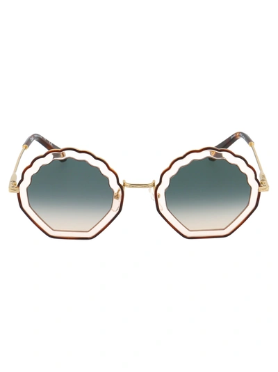 Shop Chloé Ce147s Sunglasses In 256 Havana Rose