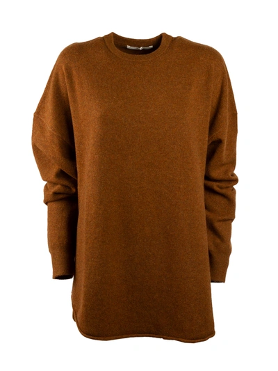 Shop Extreme Cashmere N°53 Crew Hop In Rust