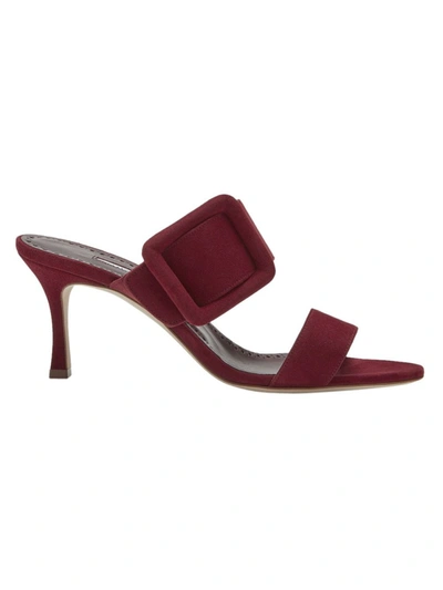 Shop Manolo Blahnik Dark Red Gable Sandals In Burgundy