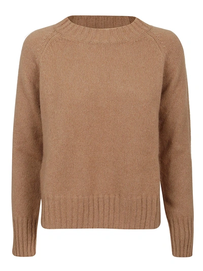 Shop Max Mara Camel Cashmere Sweater