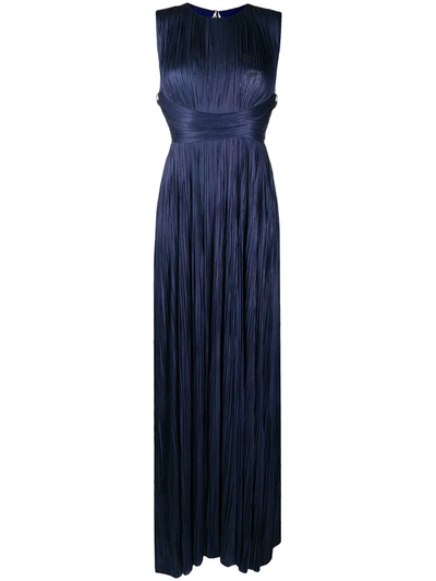 Shop Maria Lucia Hohan Sleeveless Pleat Detailing Gown In Blue