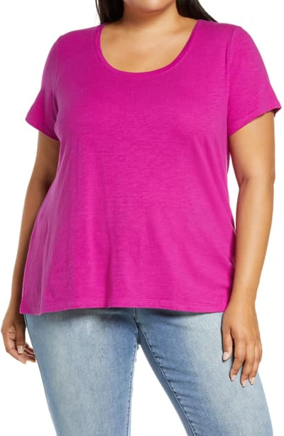 Shop Eileen Fisher U-neck Organic Cotton T-shirt In Cerise