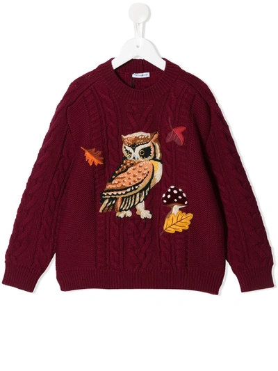 Shop Dolce & Gabbana Embroidered Owl Cable Knit Jumper In Red