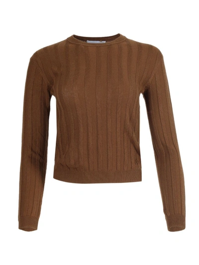 Shop Alexandra Golovanoff Kawai Cotes Knit Sweater In Brown