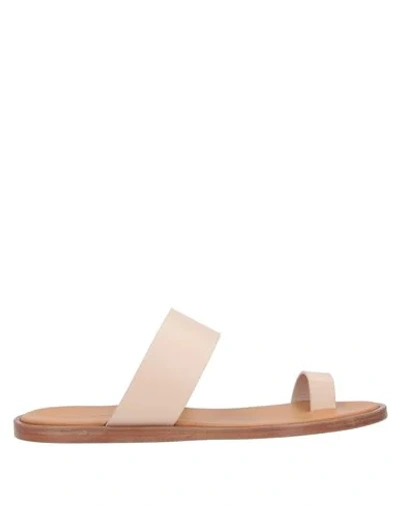 Shop Common Projects Toe Strap Sandals In Pale Pink