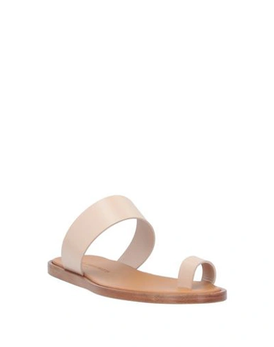 Shop Common Projects Toe Strap Sandals In Pale Pink