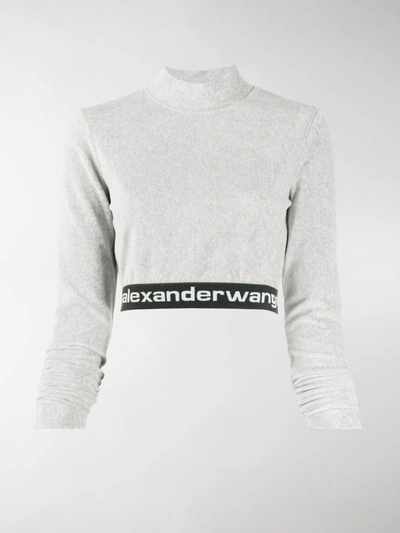 Shop Alexander Wang T Long-sleeve Crop Top In Grey