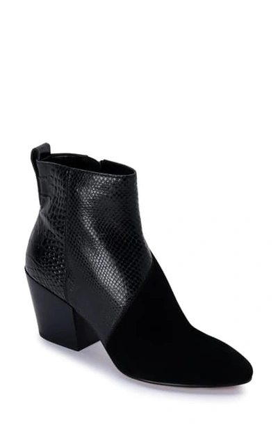 Shop Dolce Vita Crew Snake Embossed Bootie In Black Multi Suede