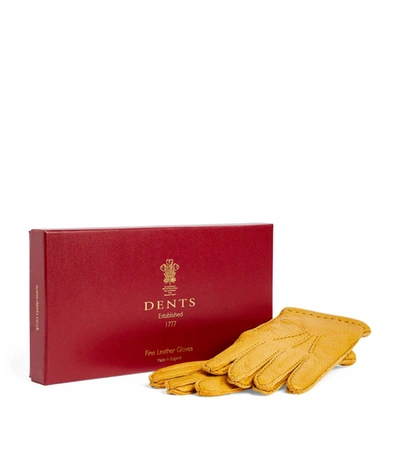 Shop Dents Leather Cashmere-lined Gloves In Brown