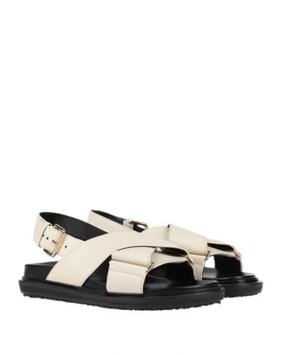 Shop Marni Sandals In Ivory