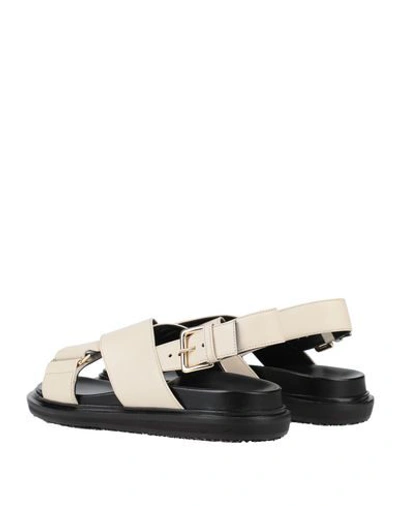 Shop Marni Sandals In Ivory