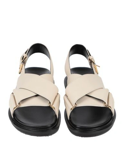 Shop Marni Sandals In Ivory