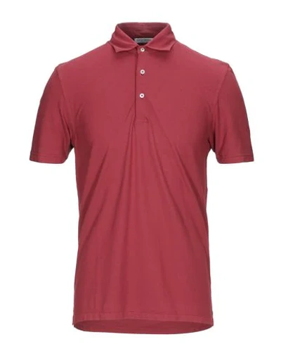 Shop Gran Sasso Polo Shirts In Brick Red