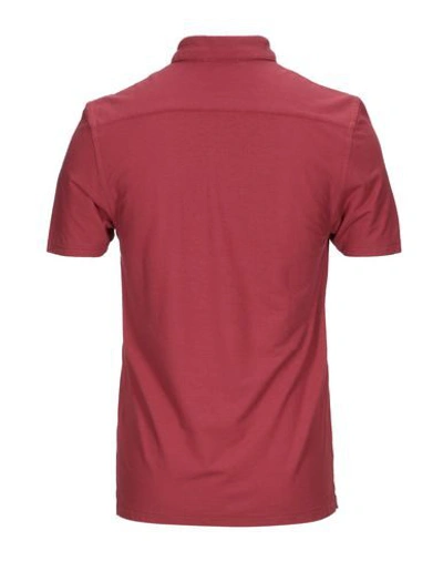 Shop Gran Sasso Polo Shirts In Brick Red