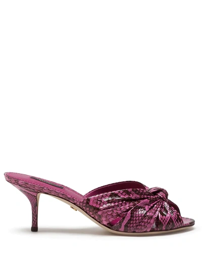 Shop Dolce & Gabbana Keira Python-skin Mules In Pink