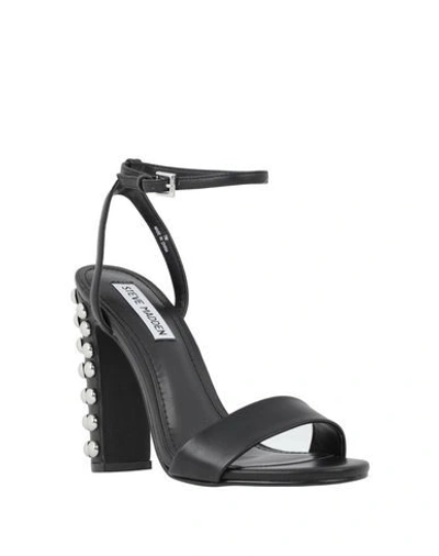Steve Madden Sandals In Black