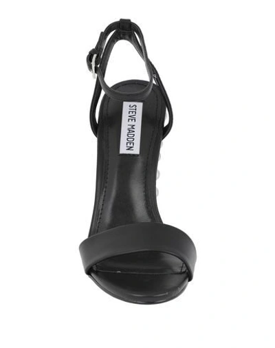 Steve Madden Sandals In Black