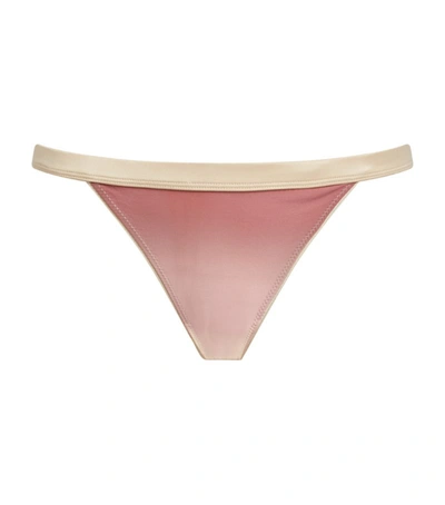 Shop Love Stories Ombré Wild Rose Bikini Briefs