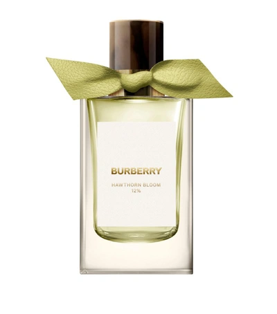 Shop Burberry Hawthorne Bloom Eau De Parfum (100ml) In Multi