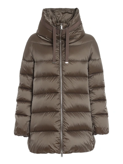 Shop Add Ped Short Coat In Taupe