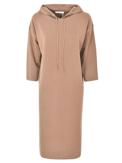 Shop Max Mara Lerici Dress In Brown In Beige