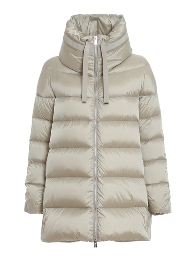 Shop Add Hooded Ped Short Coat In Light Grey