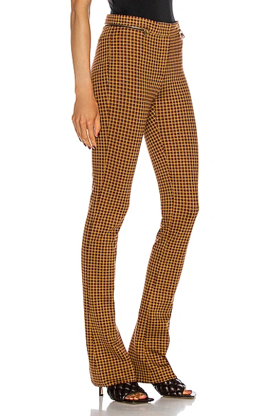 Shop Versace Skinny Pant In Brown