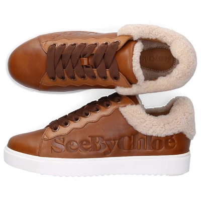 Shop See By Chloé Low-top Sneakers Essie Calfskin Logo Brown